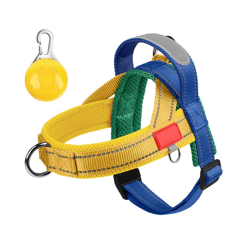 🐾 Premium hundsadelgjord – komfort, kontroll och säkerhet i varje ste