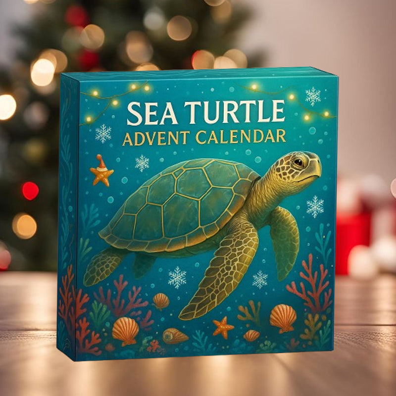 🌊🐢 Havssköldpaddsadventskalender 2025