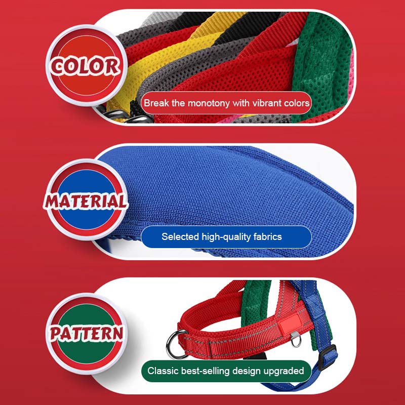 🐾 Premium hundsadelgjord – komfort, kontroll och säkerhet i varje ste