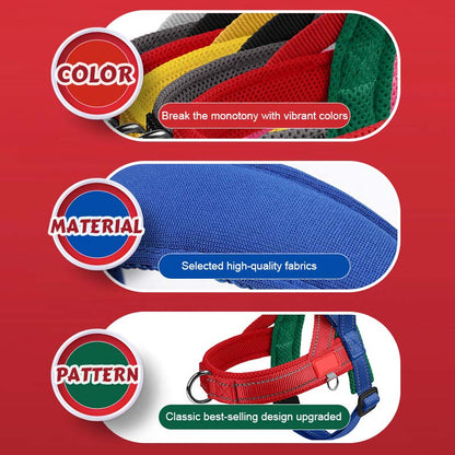 🐾 Premium hundsadelgjord – komfort, kontroll och säkerhet i varje ste