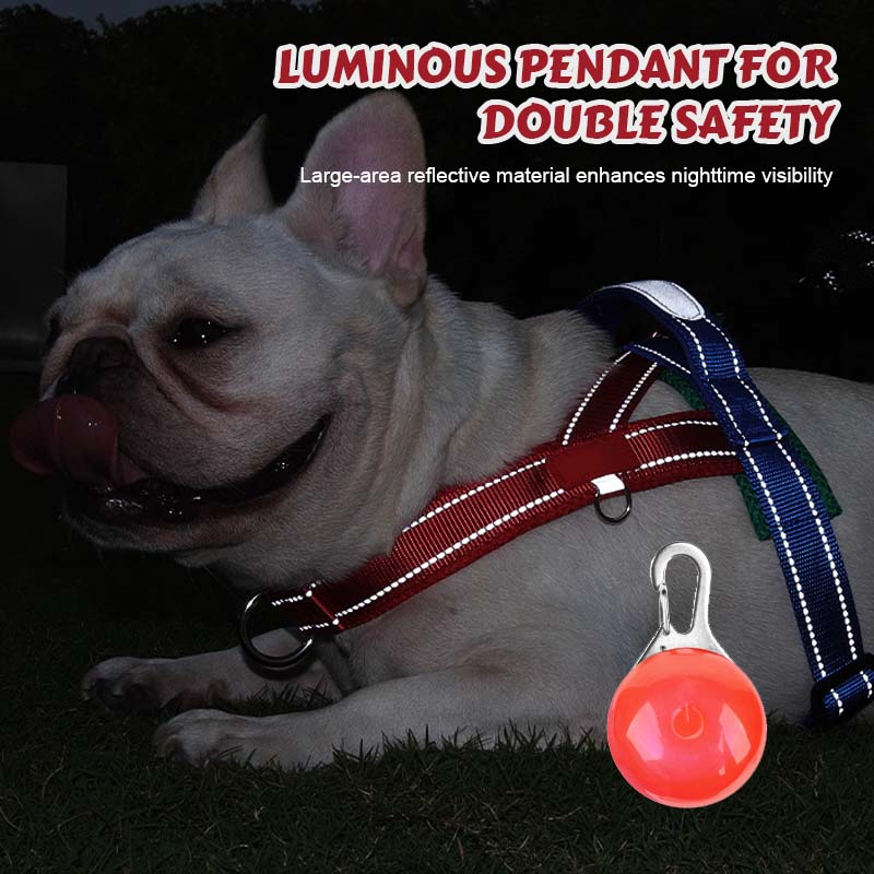 🐾 Premium hundsadelgjord – komfort, kontroll och säkerhet i varje ste